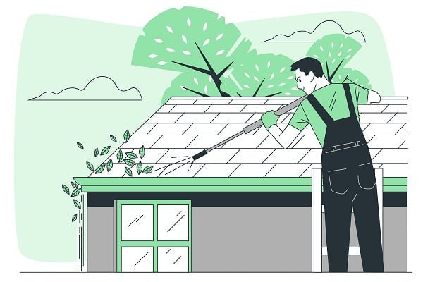 What Is the Best Way to Clean Your Roof?