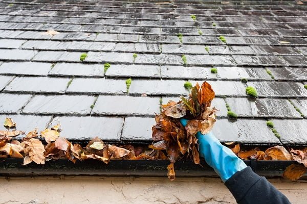 The Impact of Clogged Gutters on Your Home's Curb Appeal